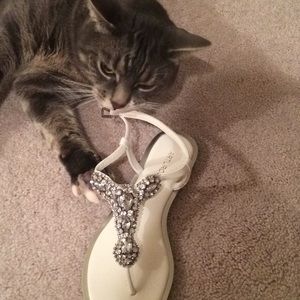 Arturo Chiang Size 6 Brand New! “Bishop” ❤️ them!